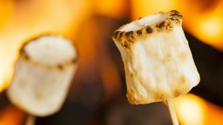 the marshmallow challenge