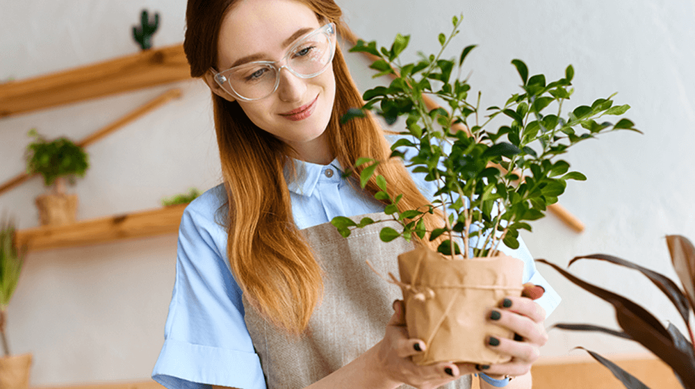 how to start a plant nursery