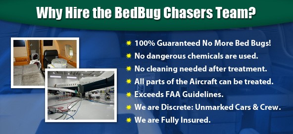 10 Pest Control Franchise Opportunities to Consider - BedBug Chasers