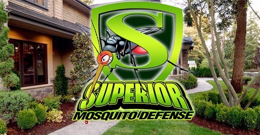 10 Pest Control Franchise Opportunities to Consider - Superior Mosquito Defense