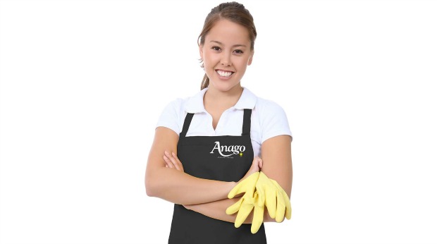 20 Cleaning Franchises to Help You Make a Tidy Profit - Anago Cleaning Systems