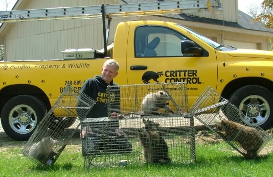 10 Pest Control Franchise Opportunities to Consider - Critter Control