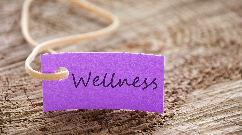 small business wellness programs