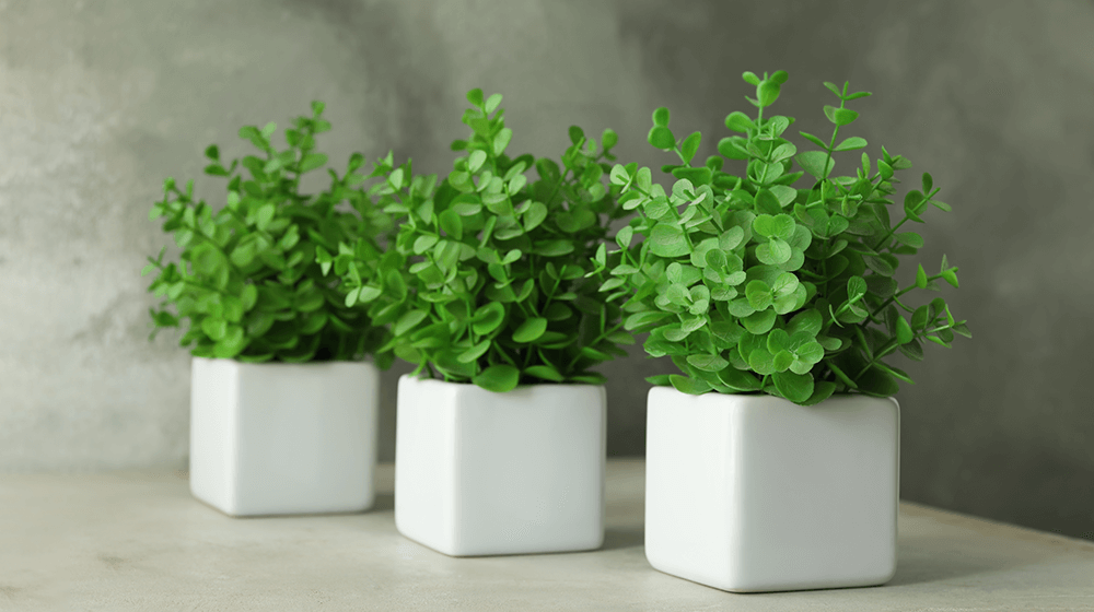 30 Best Fake Plants for Your Office