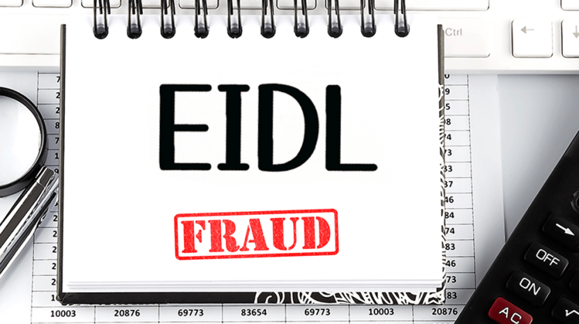 ppp and eidl loan fraud bills