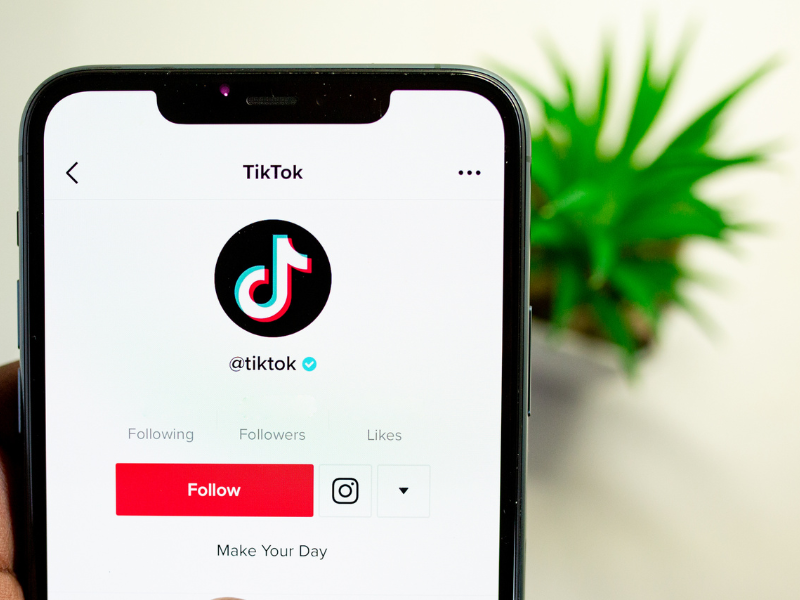 How to make money on TikTok - TikTok followers