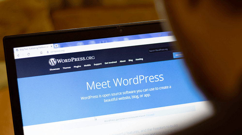 wordpress course